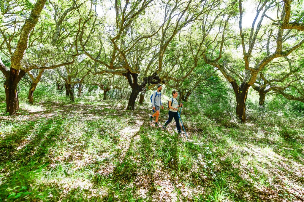 PR8 - Rota dos C�ntaros e das Rodilhas